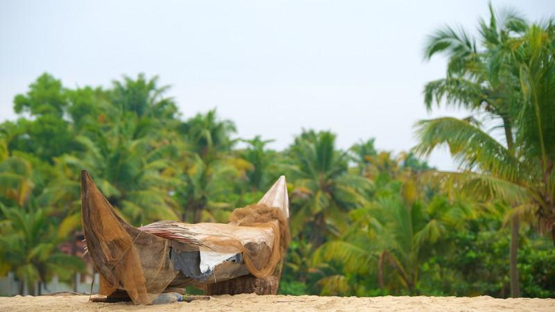 Marari Das Beach Villa Mararikulam Exterior photo